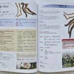 Chinese & English Blood Circulation Remedies