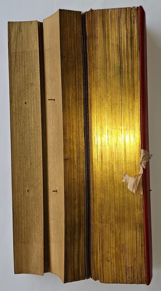 Large Burmese Palm Leaf Manuscript #1