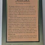 Back Cover - Shiitake: The Healing Mushroom by Kenneth Jones