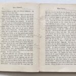 Internal pages Chamisso with pencil marks