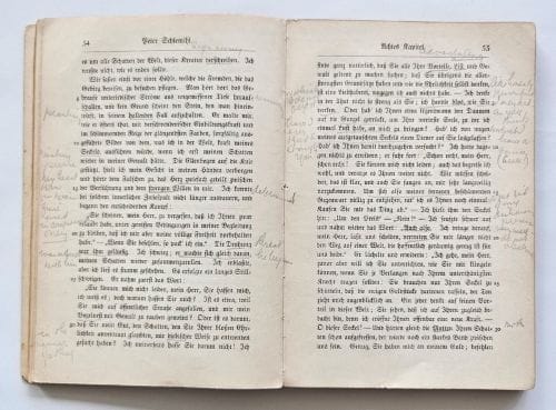 Internal pages Chamisso with pencil marks