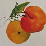 miniature letters on grasshopper