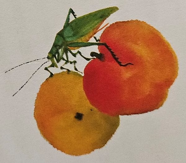 miniature letters on grasshopper