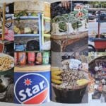 Colour Images in the Book Burma 8