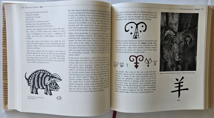 Symbols in the Book China: Empire of the written symbol